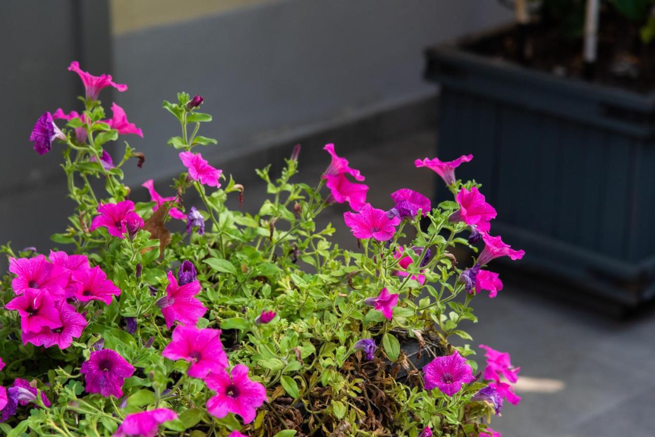 Bed and Breakfast La Fonderia Firenze Экстерьер фото